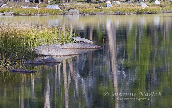 Tioga Pass Reflection #149