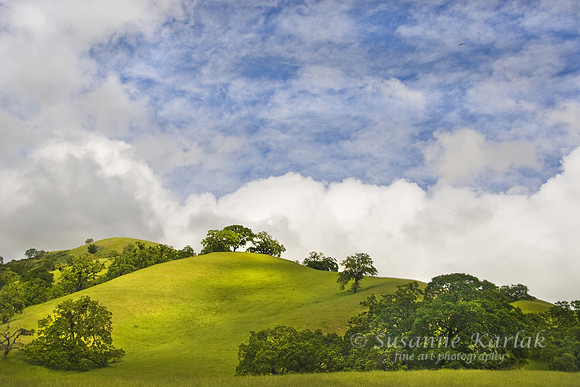 California Spring #098