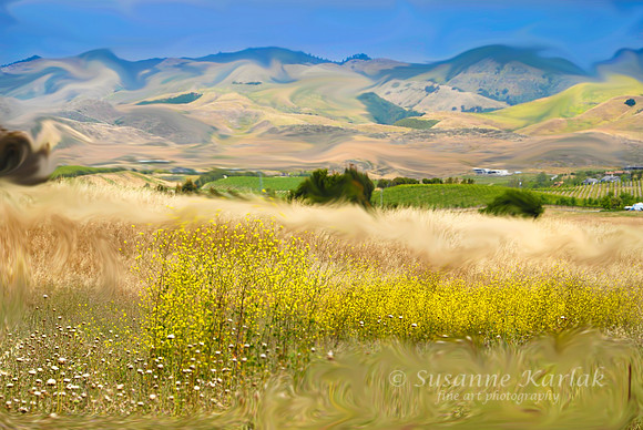 Painterly California Summer #0004