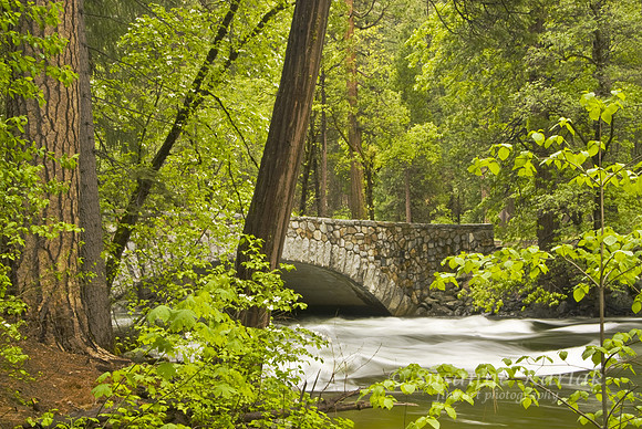 Pohono Bridge #440