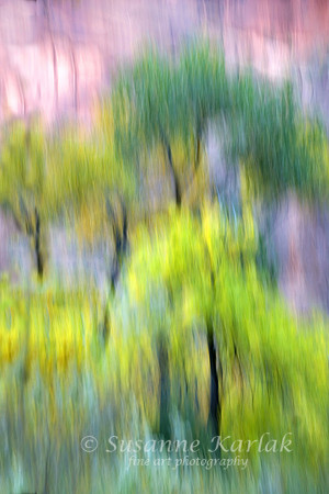 Painterly Trees #283