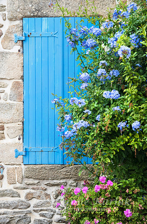 Blue Window #4568